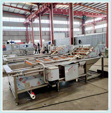 微山信威食品 前处理设备的关键作用与技术创新